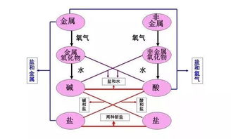 注重基礎(chǔ)知識(shí)的積累,注重基礎(chǔ)知識(shí)的教學(xué),如何注重學(xué)生對(duì)基礎(chǔ)知識(shí)的理解和掌握