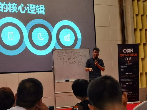 小學基礎(chǔ)知識培訓