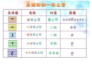 鋼琴樂(lè)理基礎(chǔ)知識(shí)匯總