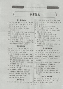 上冊(cè),基礎(chǔ)知識(shí),試卷,七級(jí)