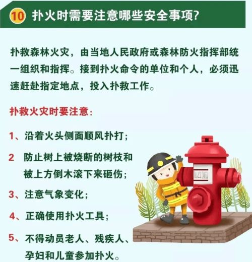 森林滅火安全基礎(chǔ)知識(shí)