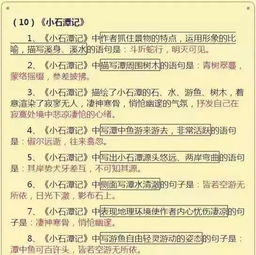 基礎知識,學生