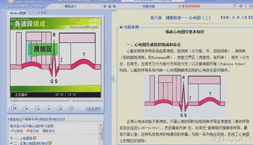 心電圖,基礎(chǔ)知識,教學(xué)