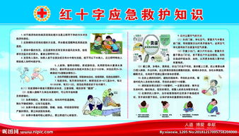應(yīng)急基礎(chǔ)救護(hù)知識