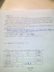 初一語(yǔ)文試卷基礎知識總結