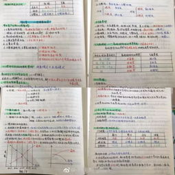 人體解剖學(xué)基礎(chǔ)知識(shí)筆記,鋼琴基礎(chǔ)知識(shí)筆記,pr基礎(chǔ)知識(shí)筆記