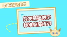 理發(fā)教學(xué)基礎(chǔ)知識(shí)