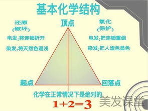 染發(fā)化學(xué)原理基礎(chǔ)知識