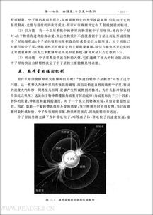 天文學(xué),知識點,基礎(chǔ)