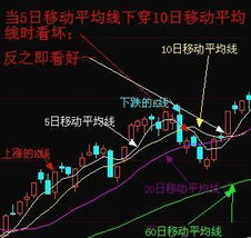股票入門(mén)基礎(chǔ)知識(shí)問(wèn)題