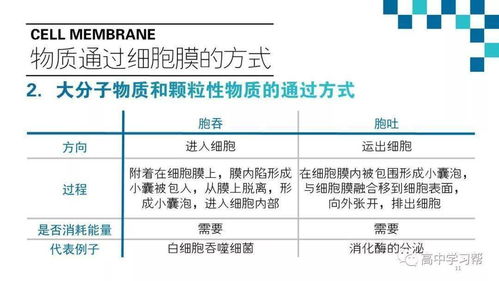 高中生物基礎(chǔ)知識梳理,高中生物基礎(chǔ)知識填空,高中生物基礎(chǔ)知識重點歸納