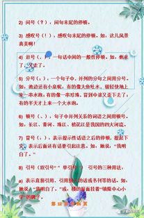打基礎(chǔ),小學(xué),知識(shí)