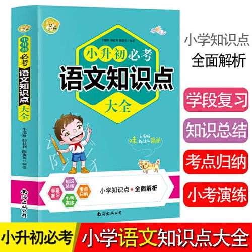 小升初語(yǔ)文基礎(chǔ)知識(shí)考點(diǎn)一