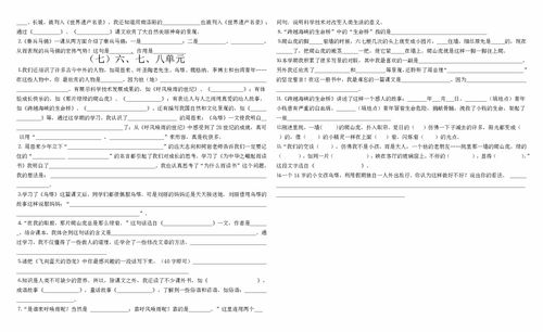 四級上冊基礎(chǔ)知識及答案解析