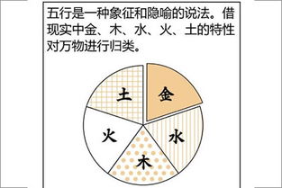 八字入門(mén)基礎(chǔ)知識(shí)教程