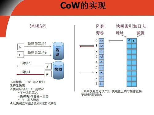 基礎(chǔ)知識,多種,區(qū)別