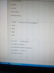 小學(xué)計算機(jī)基礎(chǔ)知識考試及答案