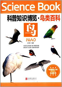 口紅分類基礎(chǔ)知識(shí),芯片分類基礎(chǔ)知識(shí),疤痕分類基礎(chǔ)知識(shí)