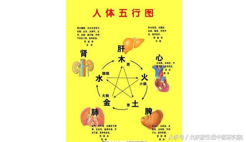 中醫(yī)藥基礎知識陰陽五行學說