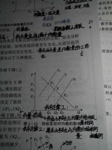 基礎知識,經濟學,宏微觀