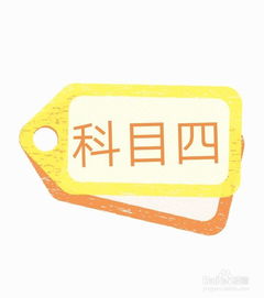 考駕照基礎知識圖標