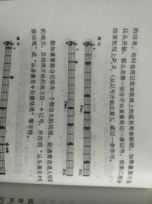 小學(xué)樂(lè)理基礎(chǔ)知識(shí)記號(hào)