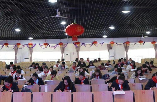 百度少先隊基礎(chǔ)專業(yè)知識