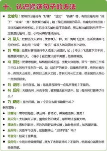 語(yǔ)文基礎知識課外班