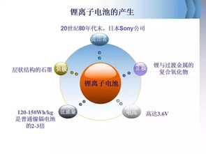 鋰基礎(chǔ)知識(shí)的書