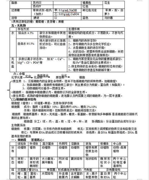 幼兒基礎知識點梳理