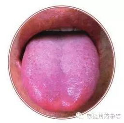 基礎(chǔ)知識