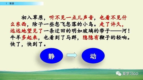 體育與健康基礎(chǔ)知識(shí)微課,口風(fēng)琴的基礎(chǔ)知識(shí),樂(lè)譜基礎(chǔ)知識(shí)口風(fēng)琴