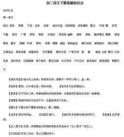 基礎(chǔ)知識,語文,初二下