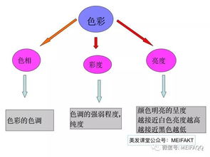 染發(fā)基礎(chǔ)知識(shí)理論