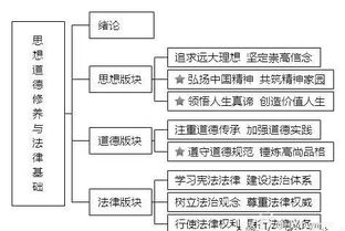 政治的基礎(chǔ)知識(shí)點(diǎn)總結(jié)