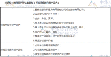審計專業(yè)基礎(chǔ)知識論文