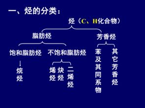 有機(jī)化學(xué),高二,上海,基礎(chǔ)知識(shí)