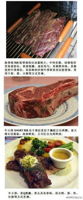 基礎牛排知識
