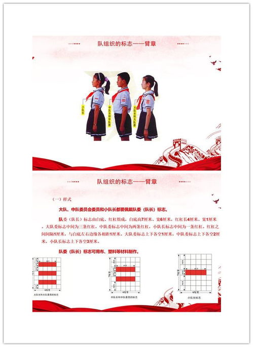小學少先隊員基礎(chǔ)知識