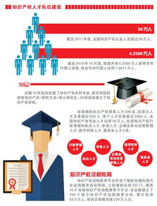 知識(shí)產(chǎn)權(quán)基礎(chǔ)建設(shè)