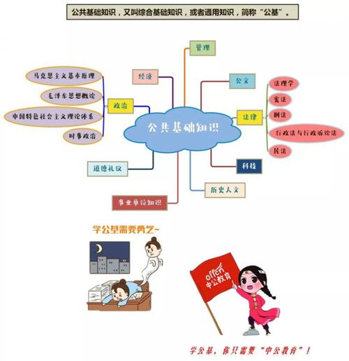 事業(yè)單位管理基礎(chǔ)知識(shí)如何準(zhǔn)備
