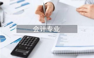 理論知識,會計,基礎,相關