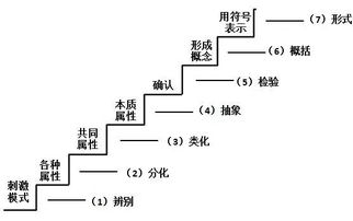 數(shù)學(xué)中的基礎(chǔ)知識概念