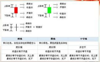 股票交易業(yè)務(wù)基礎(chǔ)知識