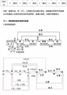 有機(jī)化學(xué)基礎(chǔ)知識的重難點
