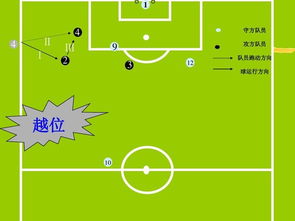 足球的基礎(chǔ)知識,了解足球的基礎(chǔ)知識,足球裁判基礎(chǔ)知識