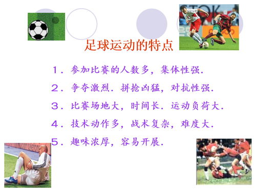 小學(xué)籃球基礎(chǔ)知識(shí)ppt,PPT基礎(chǔ)知識(shí)課件,皮膚基礎(chǔ)知識(shí)課件PPT