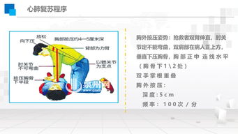 急救,心得,基礎(chǔ),知識