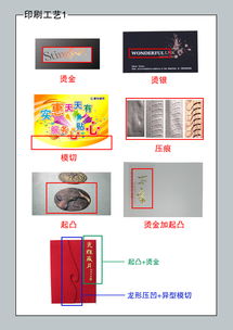 裝訂基礎(chǔ)知識