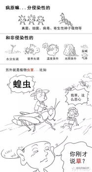 農(nóng)藥基礎(chǔ)知識管理
